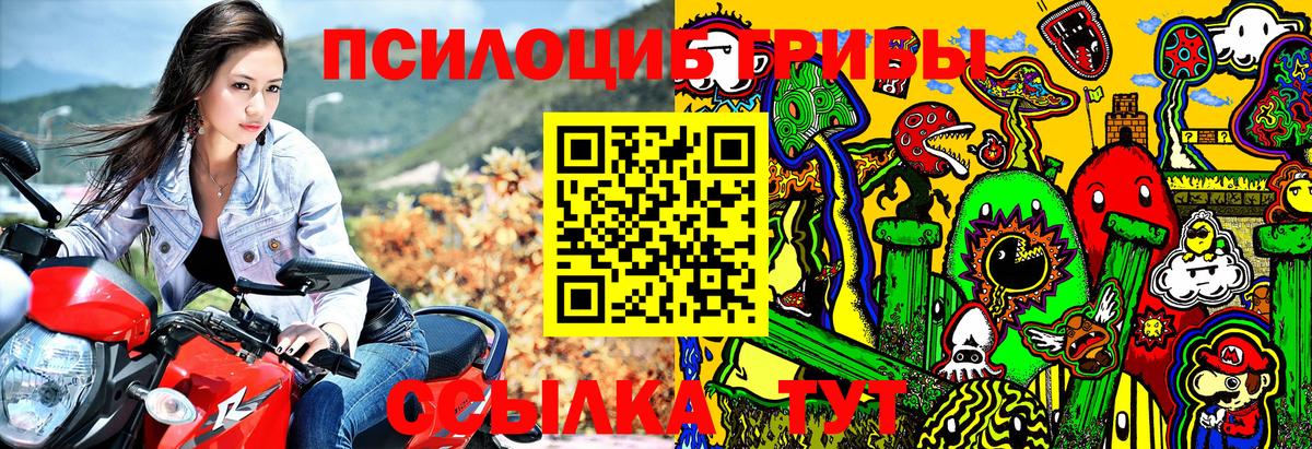 Красногорск  Галлюциногенные грибы Psilocybe  Вход с VPN 